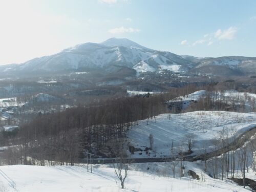 倶知安町字比羅夫6,387坪