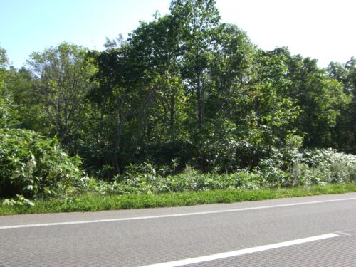 ニセコ町字ニセコ 746坪 道道沿い整形地