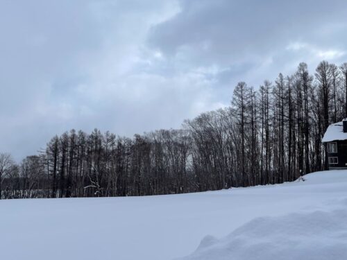 ニセコ町字曽我 2414坪 土地