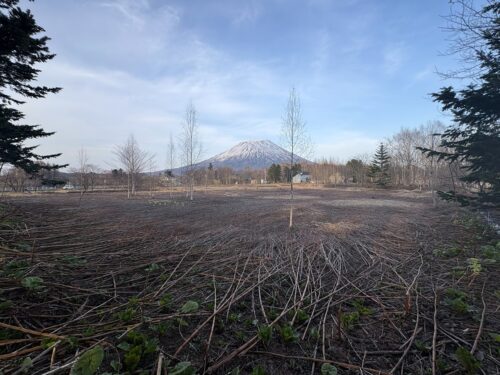 ニセコ町近藤３４２６坪売り土地