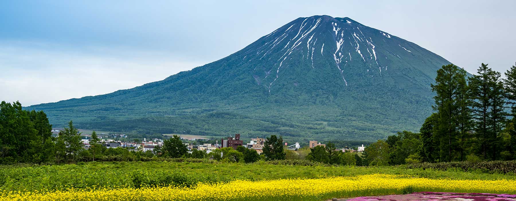 Enjoy Niseko Life !